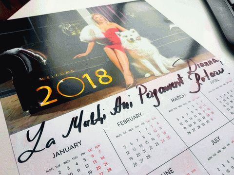 Calendar for the singer Diana Rotaru