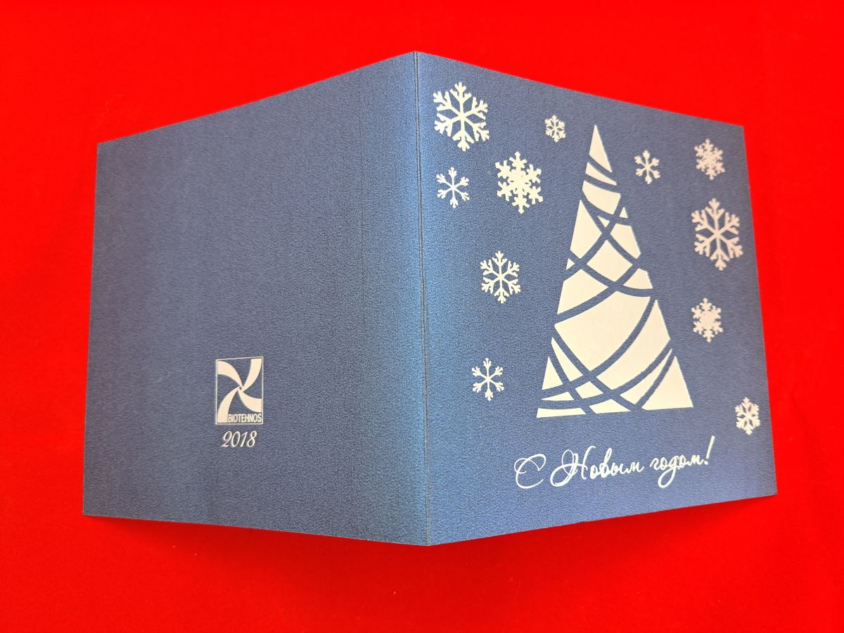 New Year greeting card