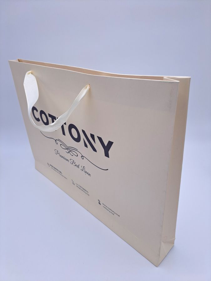 Carton bag