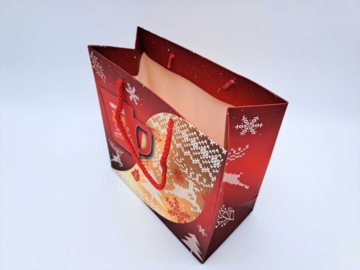 Carton bag