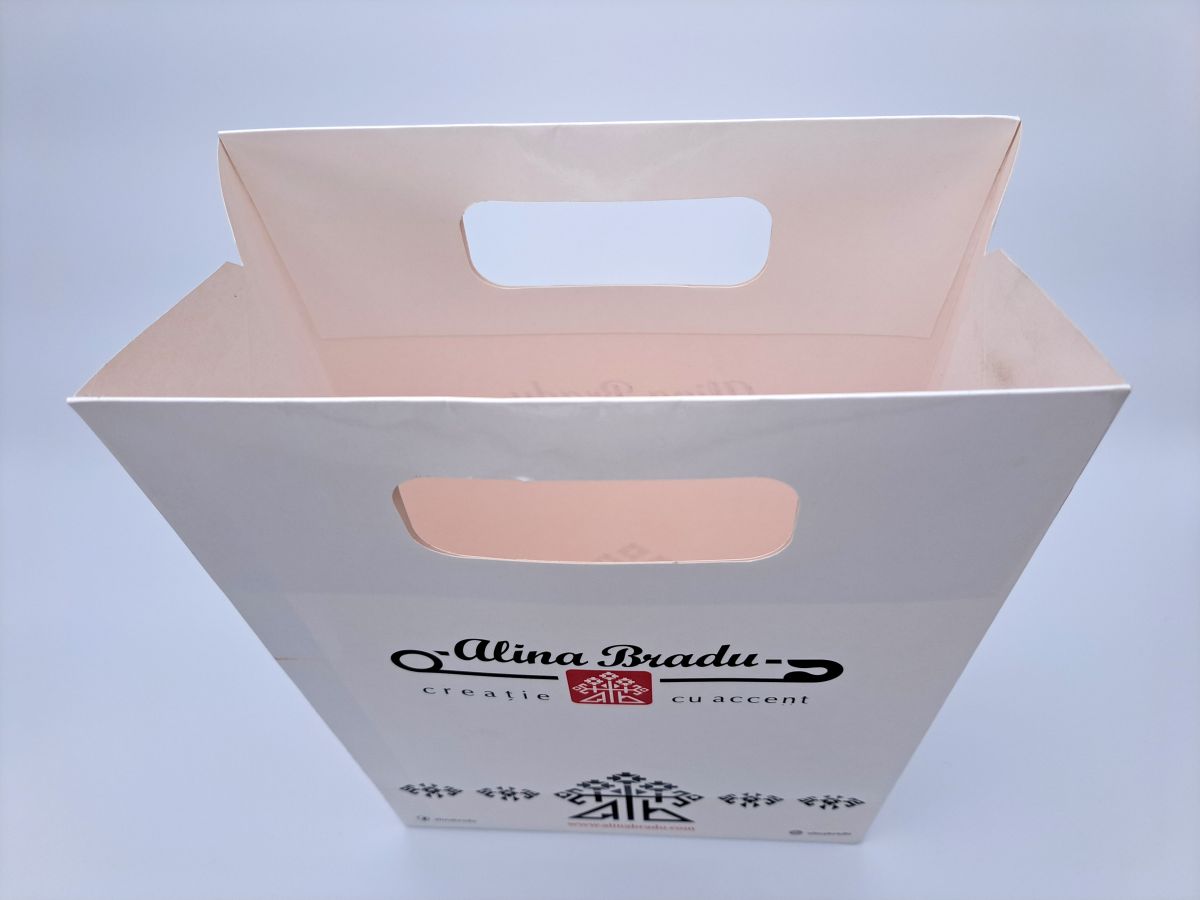 Carton bag