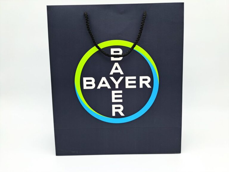Branded cardboard bag — custom printing by Pergament, Chisinau